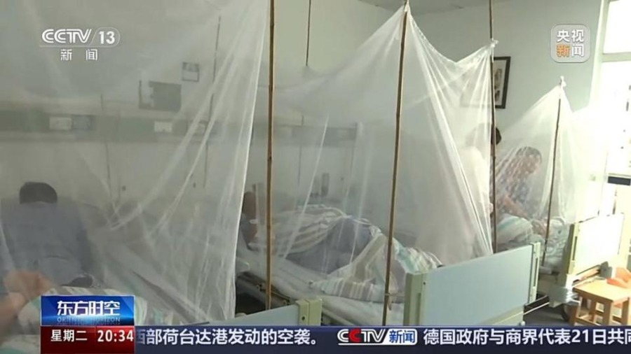 世衛專家提醒防範基孔肯雅熱爆發的封面圖片