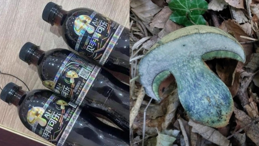 「毒蘑菇」見手青也能做可樂？雲南這款創意飲品火了！的封面圖片