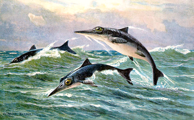 魚龍類的想像圖。（來源：wikipedia）
