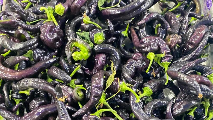 菜園裡長出紫色辣椒？這「茄椒」到底是茄子還是辣椒？的封面圖片