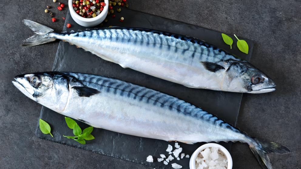青花魚（示意圖來源：網絡）