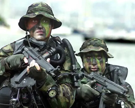 美國海軍海豹突擊隊 （美國海軍）