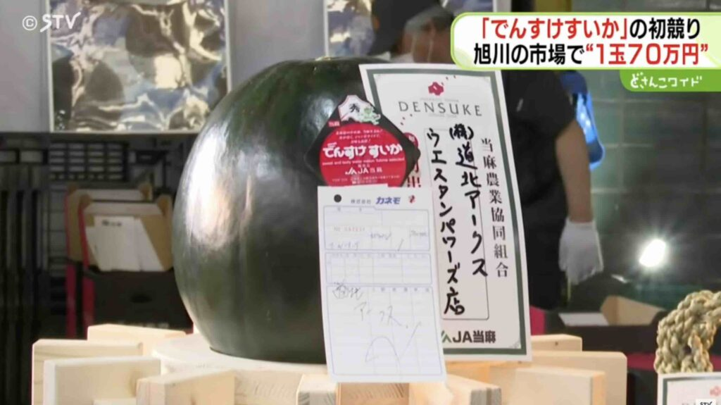 今年 6 月 20 日，旭川市嘅競拍會上，一顆田助西瓜竟然拍出咗 70 萬日圓（約合 36925 港幣）嘅天價，成為史上第二貴嘅西瓜！（來源： STV 新聞北海道新聞@youtube）
