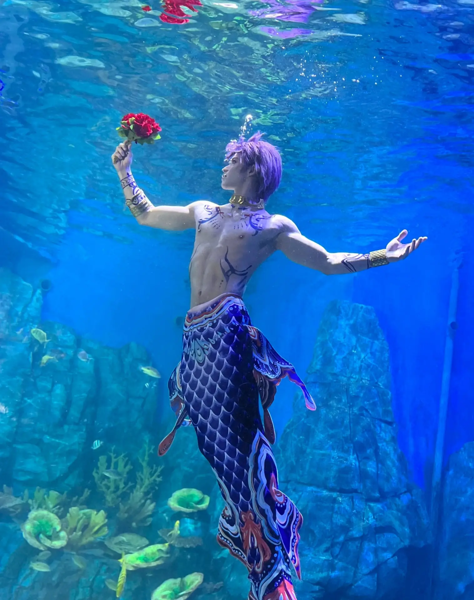 武漢海洋館「男美人魚」爆紅！竟是跳水選手？（來源：九派新聞）