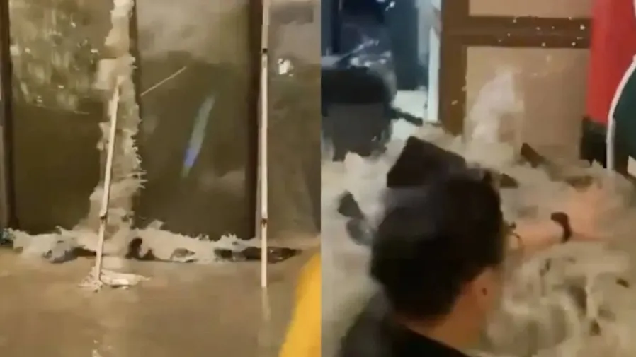 十號風球「樺加沙」襲港：富麗敦海洋公園酒店玻璃爆碎，海水湧入有人跌倒的封面圖片