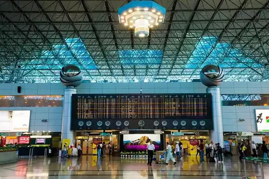 今年 2 月，兩名泰國女子就靠這招，想把 45 隻印度星龜、5 隻美國牛蛙和 2 隻紫金蟒偷偷帶進台灣地區， 最終在桃園國際機場當場落網。（示意圖來源：網絡）