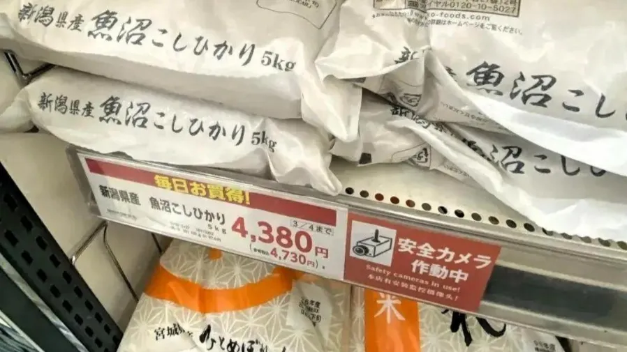 日本米價瘋漲民眾直呼食唔起，誰偷了日本人的大米？的封面圖片