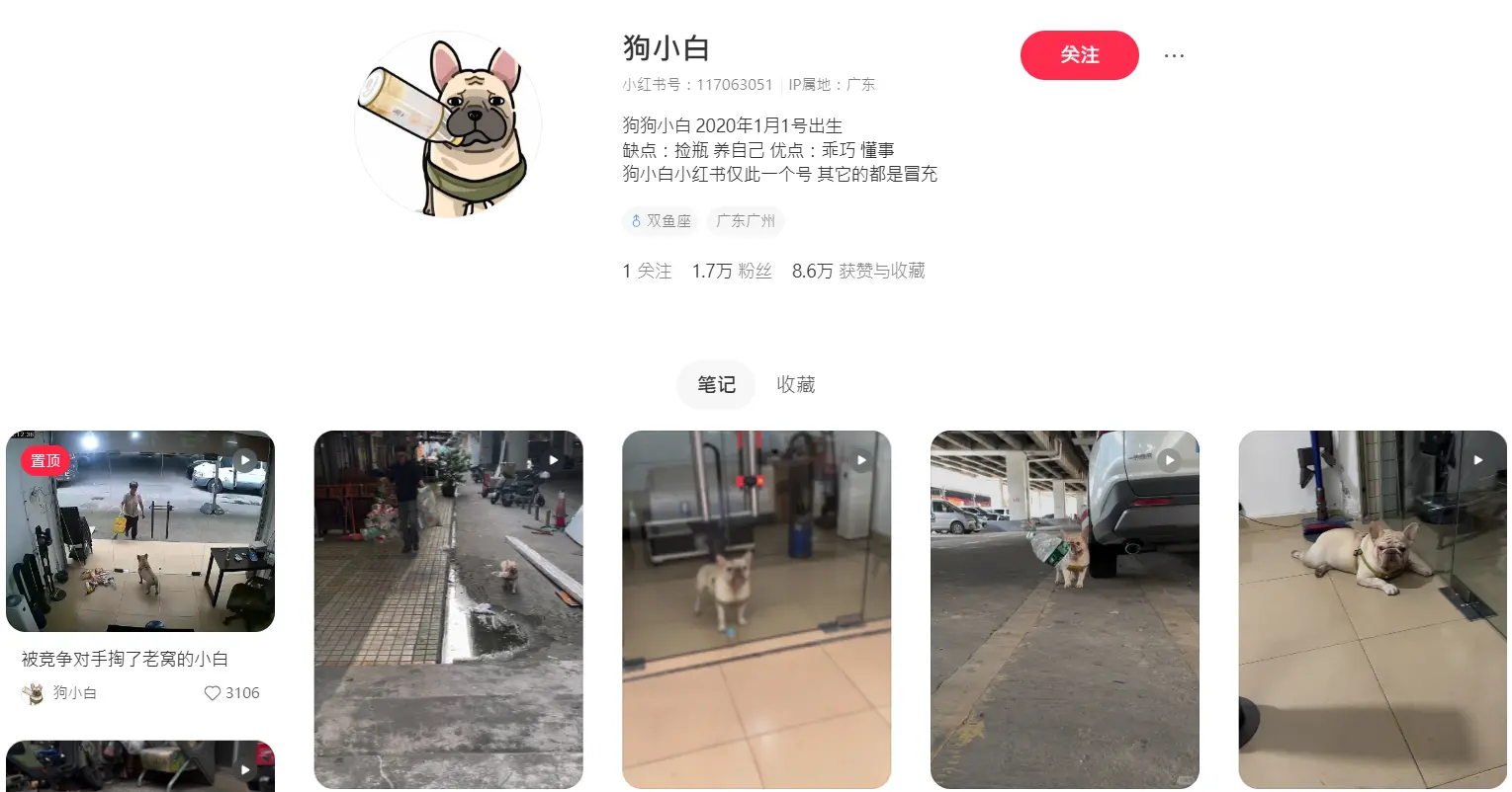 廣州 5 歲半法鬥主人的小紅書賬號主頁（來源：狗小白@小紅書）