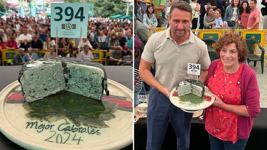 一塊西班牙起司 32 萬港幣！點解？！的封面圖片