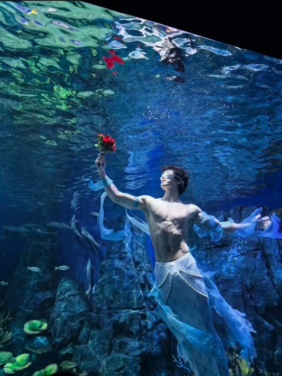 武漢海洋館「男美人魚」爆紅！竟是跳水選手？（來源：九派新聞）
