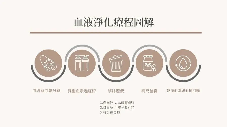 血液淨化療程圖解