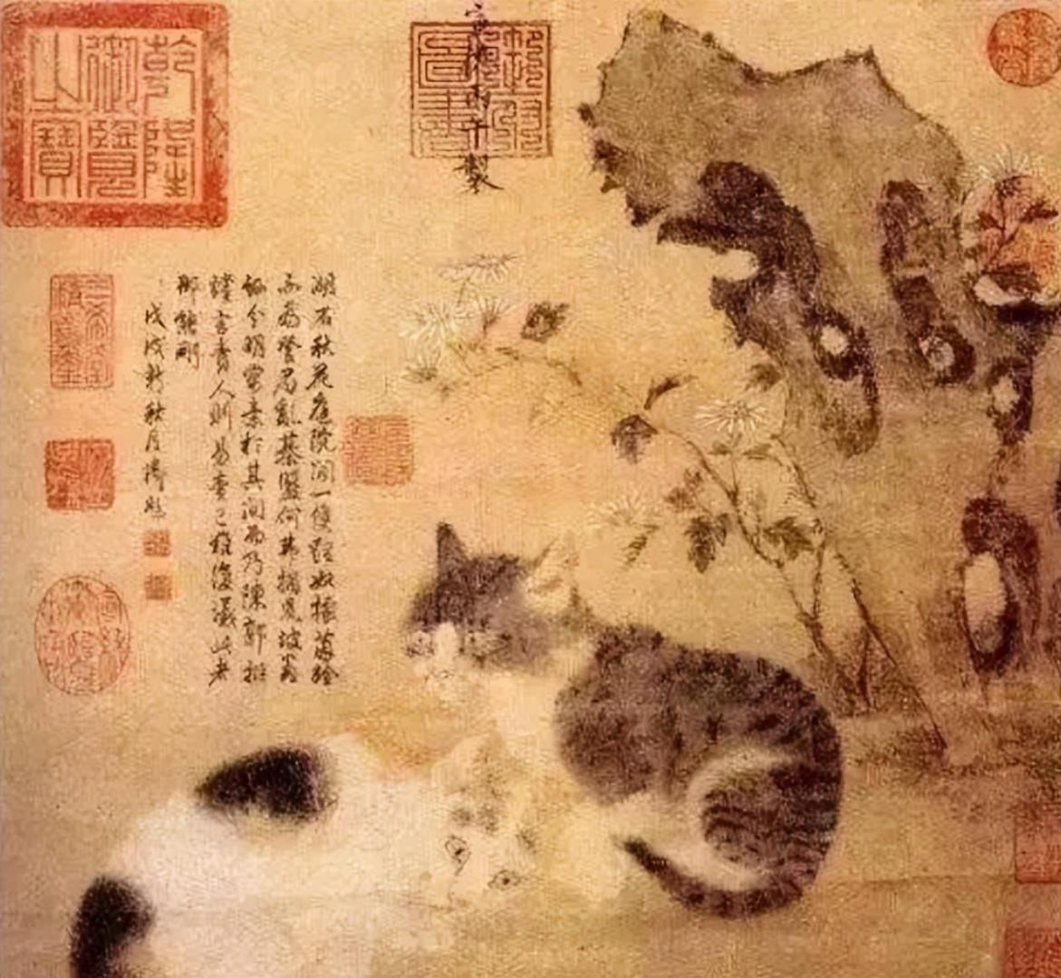 中國人什麼都敢吃，唯獨對猫「手下留情」？真相藏在歷史裡。（來源：@網絡）