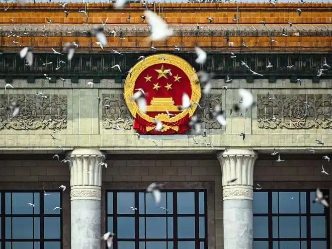 在紀念中國人民抗日戰爭暨世界反法西斯戰爭勝利80周年大會上，北京天安門廣場那8萬羽和平鴿可是大有來頭哦！（來源：新華社）