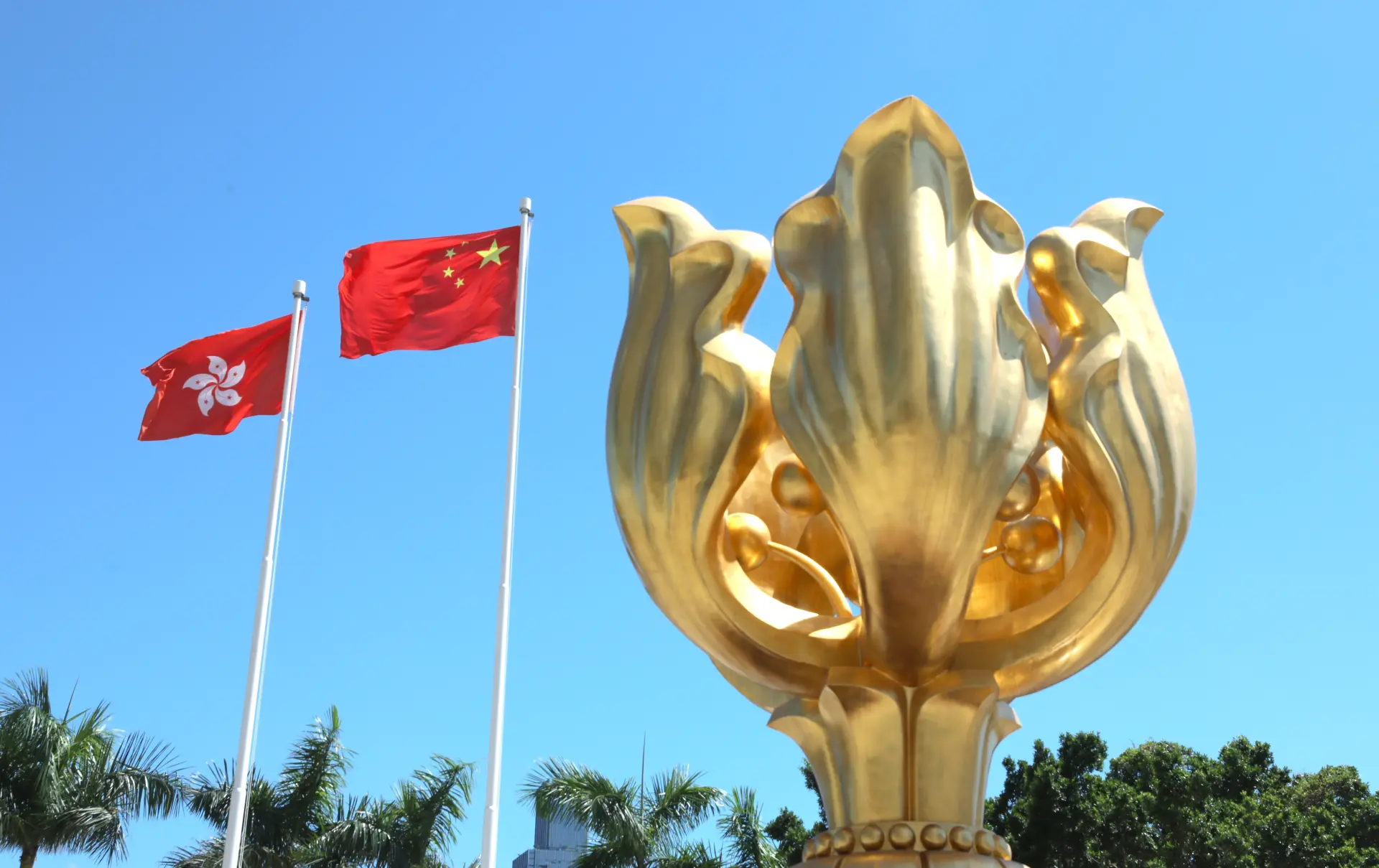 世界在變，香港的經濟亦正處於轉型期，但在國家的全力支持下，機遇明顯大於挑戰。(新華社)