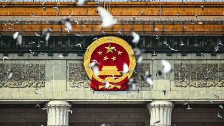 北京天安門的和平鴿從哪來又回哪去？你絕對想不到！的封面圖片
