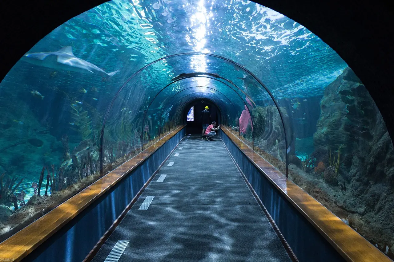 一塊玻璃買一棟房？日本水族館直白警告引熱議。（示意圖來源：pixabay）