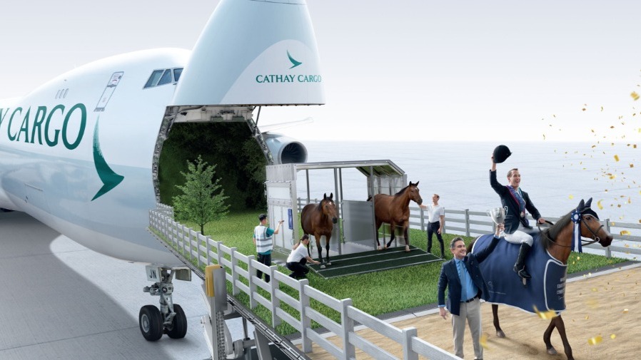 國泰航空賽駒運輸：70 匹賽馬跨洲運輸細節 撐起香港 2025 機場貨運增長 1.9%的封面圖片
