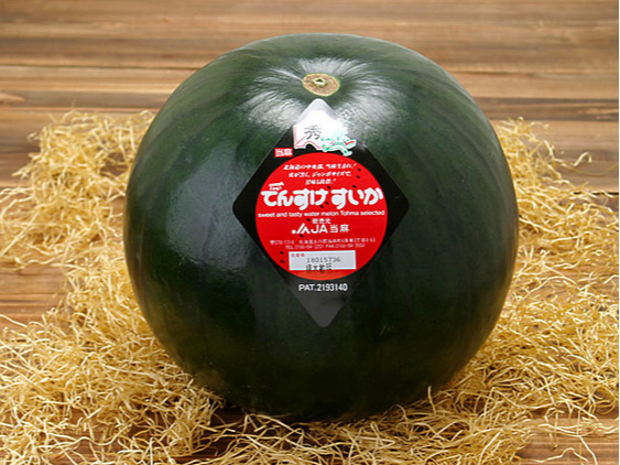 日本北海道嘅神奇水果 —— 田助西瓜（Densuke watermelon），呢個亦被稱為「黑皮西瓜」嘅珍品。（來源：@網絡）