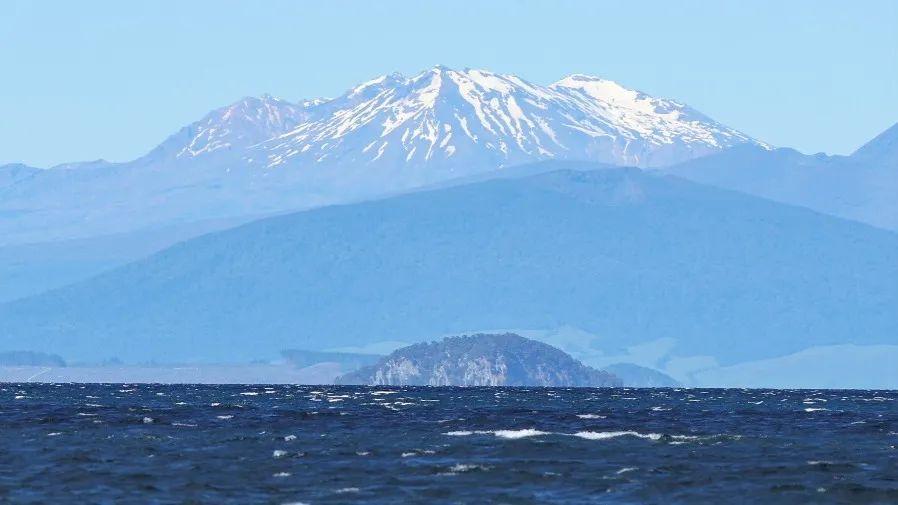 湯加 7.1 級地震發海嘯警報的封面圖片