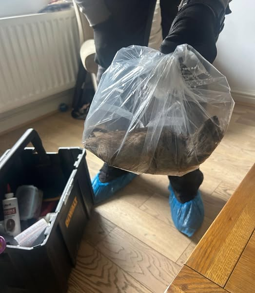 英國社區捕獲長達 56 公分「超級巨鼠」，背後原因不簡單！（來源：David Taylor and Stephen Martin - Eston Ward Councillors@FB）