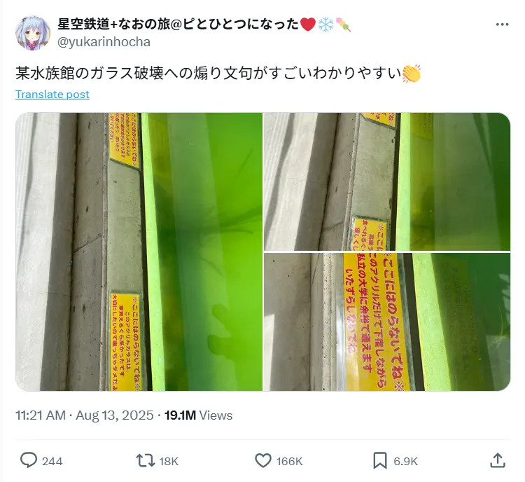 一塊玻璃買一棟房？日本水族館直白警告引熱議。（來源：yukarinhocha@X）