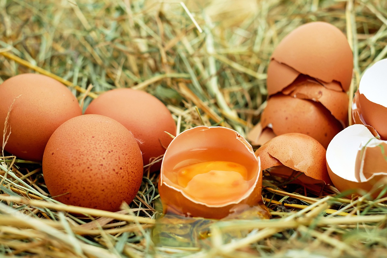 同一顆雞蛋，為何在美國要洗，在歐洲卻禁止洗？（來源：pixabay）